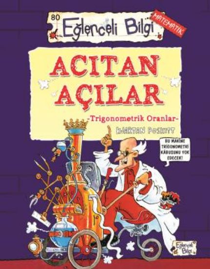 Acıtan Açılar - Trigonometrik Oranlar-Eğlenceli Bilgi resmi