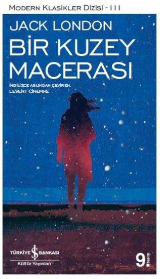 Bir Kuzey Macerası resmi