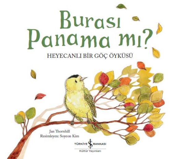 Burası Panama mı? Heyecanlı Bir Göç Öyküsü resmi