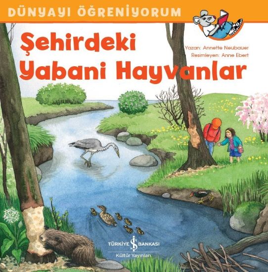 Şehirdeki Yabani Hayvanlar resmi