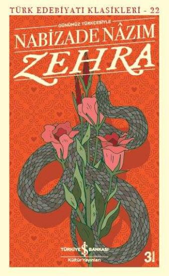 Zehra - Nabizade Nâzım resmi