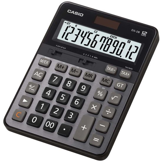 Casio DS-2B Profesyonel 12 Hane Masa Üstü Hesap Makinesi resmi