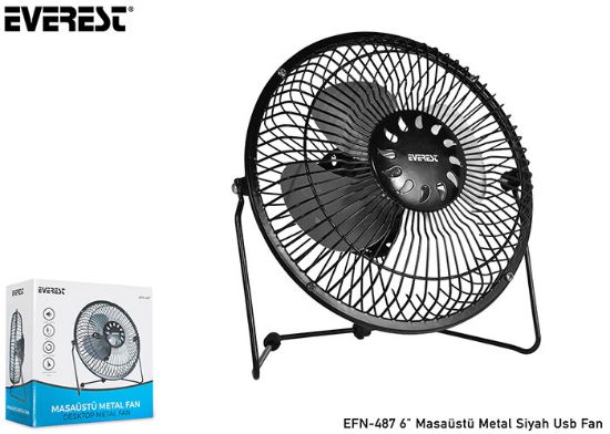 Everest EFN-487 6" Masa Metal Siyah-beyaz Usb Fan resmi