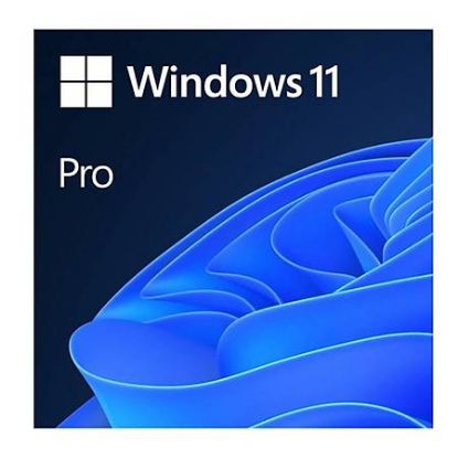 Microsoft Windows 11 Pro 64Bit Türkçe Kutu HAV-00159 Kutulu İşletim Sistemi resmi