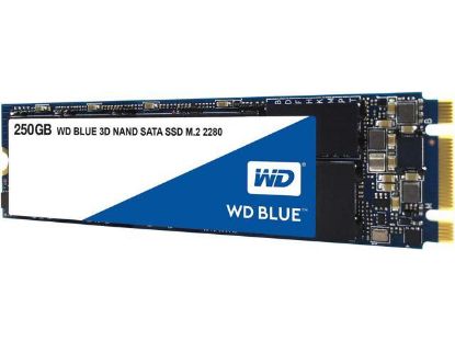 Wd 250Gb Blue M.2 Sata 550 Mbps / 525 Mbps WDS250G2B0B Harddisk resmi