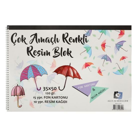 Alex Schoeller Resim Defteri Spiralli Çok Amaçlı 15 YP 35x50 120 GR ALX-0299 resmi