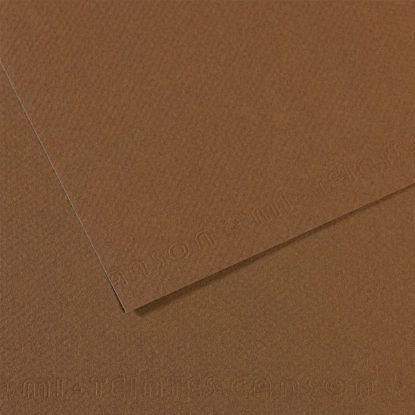 Canson Fon Kartonu (Dokulu) Mı-Teıntes 25 Lİ 50x65 160 GR 133 Sepia 200321404 (25 Adet) resmi