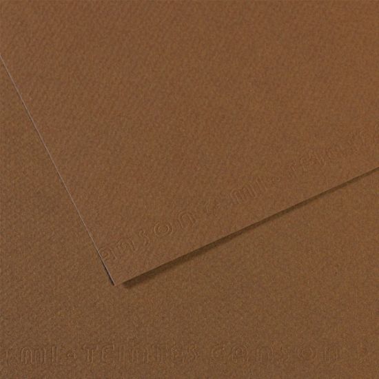 Canson Fon Kartonu (Dokulu) Mı-Teıntes 25 Lİ 50x65 160 GR 133 Sepia 200321404 (25 Adet) resmi