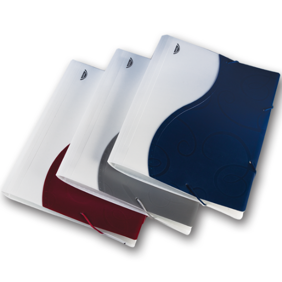 Noki Körüklü Dosya S Seri 12 Bölmeli Dosya S20093 resmi