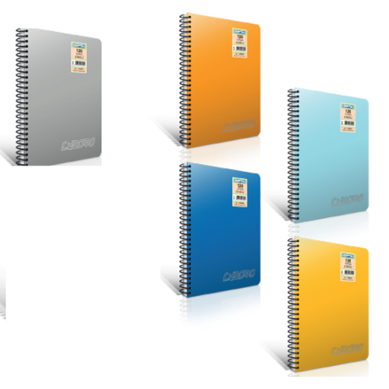 Gıpta Spiralli Defter Chromo Plastik Kapak Çizgisiz 80 YP A4 1339 resmi