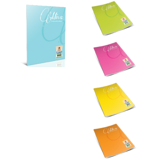 Gıpta Defter (Dikişli ) Mica Plastik Kapak Kareli 40 YP A4 1703 (12 Adet) resmi