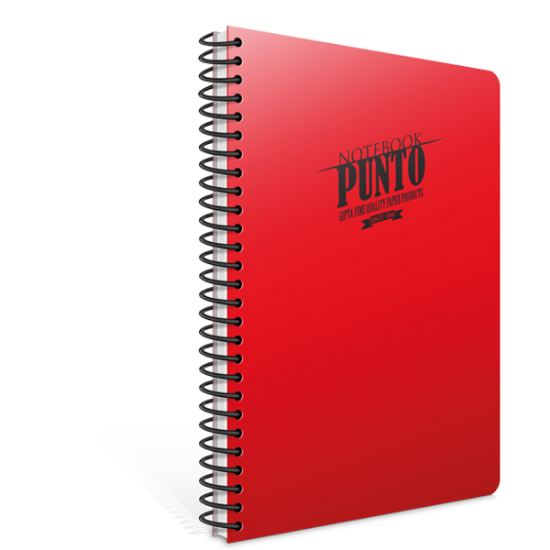 Gıpta Spiralli Defter Punto Plastik Kapak Çizgili 40 YP A4 6530 resmi