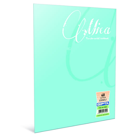 Gıpta Defter (Dikişli ) Mica Plastik Kapak Kareli 100 YP A5 2935 resmi
