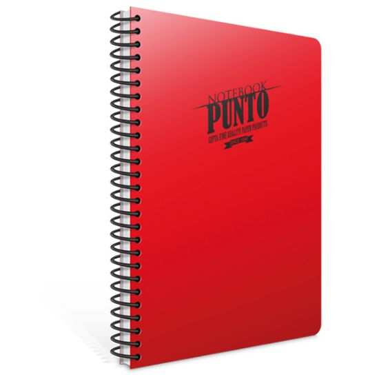 Gıpta Spiralli Defter Punto Plastik Kapak Çizgili 80 YP A4 6534 resmi