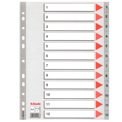 Esselte Seperatör 1-12 Rakamlı Plastik A4 100106 resmi