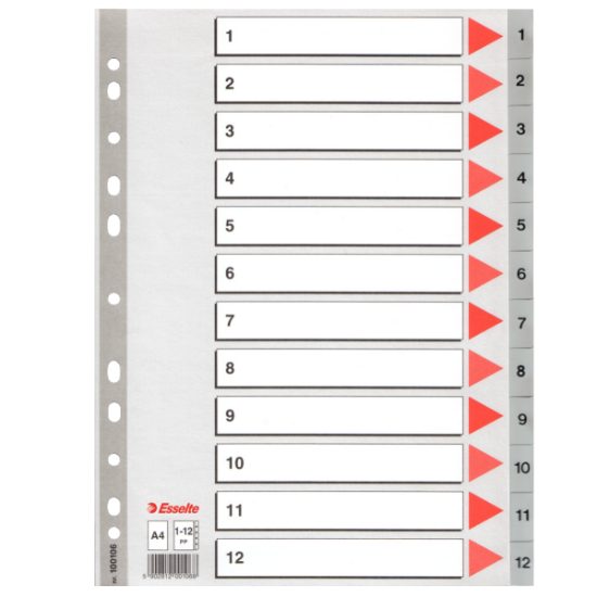 Esselte Seperatör 1-12 Rakamlı Plastik A4 100106 resmi