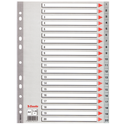 Esselte Seperatör 1-20 Rakamlı Plastik A4 100107 resmi