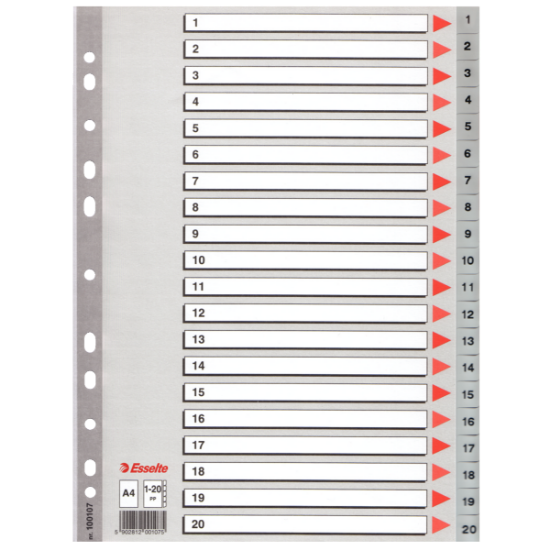 Esselte Seperatör 1-20 Rakamlı Plastik A4 100107 resmi