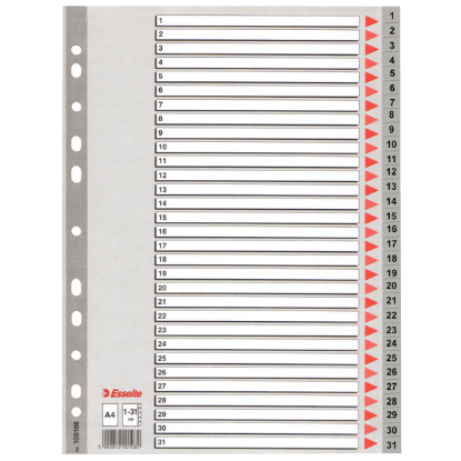 Esselte Seperatör 1-31 Rakamlı Plastik A4 100108 resmi