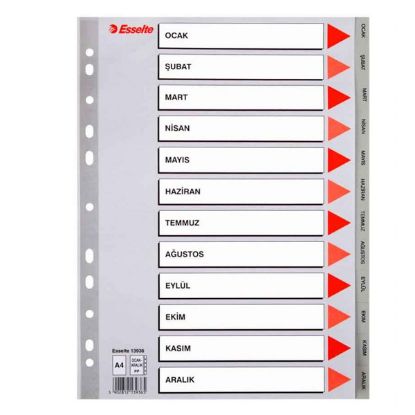 Esselte Seperatör Aylar Plastik A4 13936 resmi