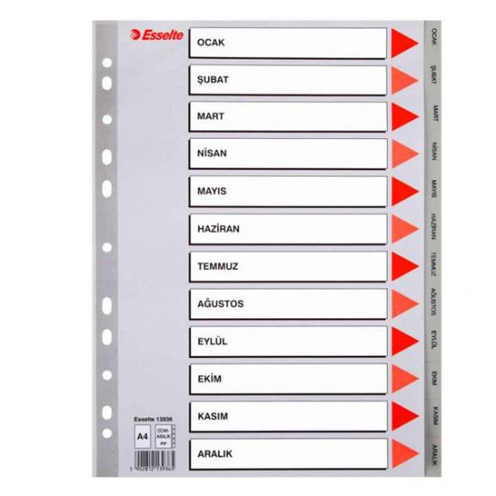 Esselte Seperatör Aylar Plastik A4 13936 resmi