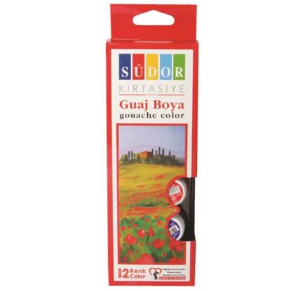 Südor Guaj Boya Şişe 12 Renk 15 ML SD525 resmi