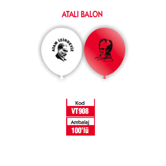 Vatan Balon Atam İzindeyiz 100 LÜ VT908 resmi