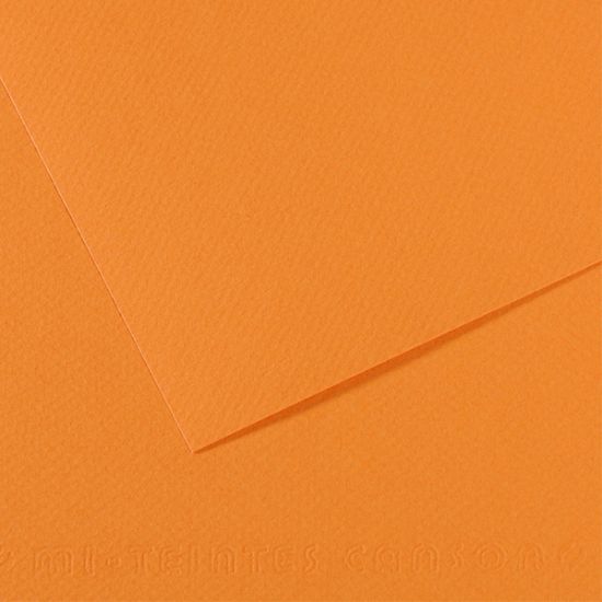 Canson Fon Kartonu (Dokulu) Mı-Teıntes 25 Lİ 50x65 160 GR 384 Saumon 200321104 (25 Adet) resmi