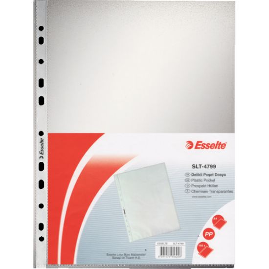 Esselte Poşet Dosya A4 Buzlu Şeffaf 4799 (1 Adet) resmi