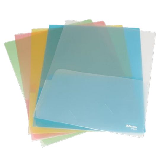 Esselte Poşet Dosya 2 Gözlü A4 17325 (5 Adet) resmi