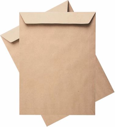 Oyal Torba Zarf Kraft Silikonlu 17x25 90 GR 30004064 (500 Adet) resmi