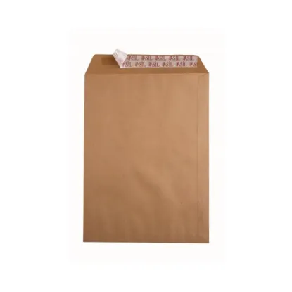 Asil Doğan Torba Zarf Eco Çaycuma Silikonlu 37x45 125 GR AS-0916 (200 Adet) resmi