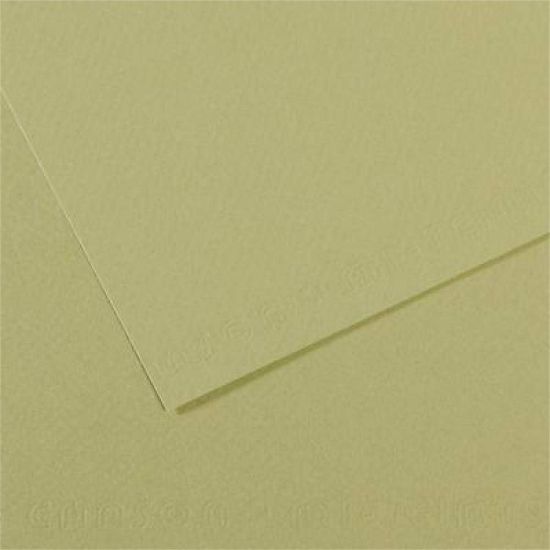 Canson Fon Kartonu (Dokulu) Mı-Teıntes 25 Lİ 50x65 160 GR 480 Almond Green 200321164 (25 Adet) resmi