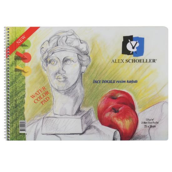 Alex Schoeller Resim Defteri Spiralli 15 YP 25x35 120 GR 826 resmi