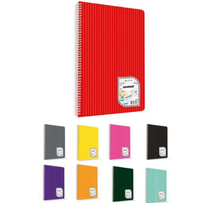 Çınar Colormaxi Spiralli Defter Plastik Kapak A4 72 YP Düz 72/0 (12 Adet) resmi