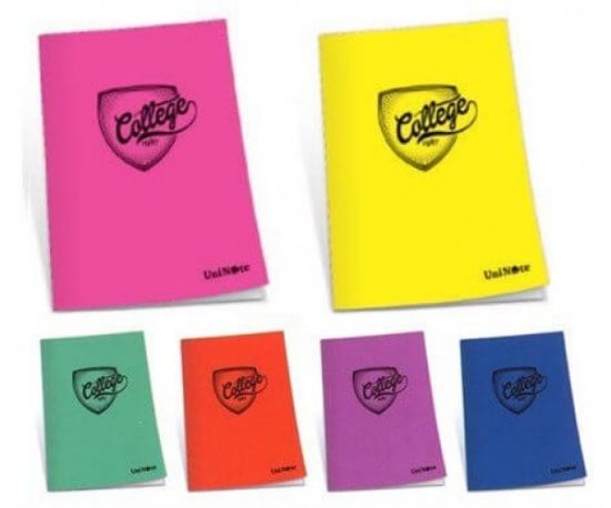 Çınar College Plastik Kapak Defter College Dikişli A5 60 YP Kareli 60/4 75002 resmi