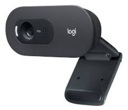 Logitech 960-001372 C505E HD Webcam - Siyah resmi