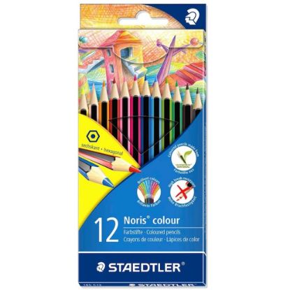 Staedtler Kuru Boya Norıs Color 12 Lİ 185 C12 resmi
