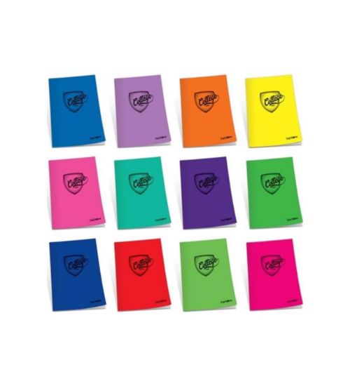 Çınar College Plastik Kapak Defter College Dikişli A5 80 YP Çizgili 80/1 75013 (12 Adet) resmi