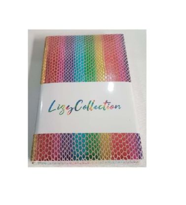 Liz Defter Rainbow Suni Deri 17x24 168 YP Çizgili resmi