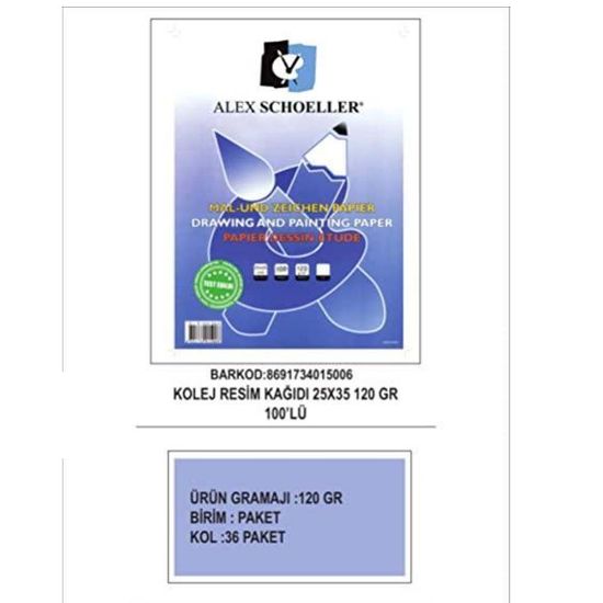 Alex Schoeller Resim Kağıdı 25x35 CM 120 GR 100 Lu Pşt. resmi