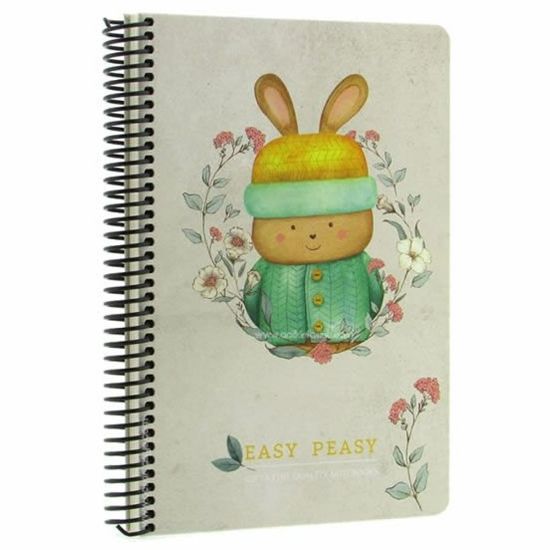 Gıpta Easy Notes Spiralli Sert Kapak Defter 17x24 120 YP Çiz. resmi