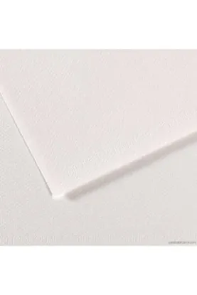 Canson Fon Kartonu (Dokulu) Mı-Teıntes 50x65 160 GR Whıt 335 (10 Adet) resmi