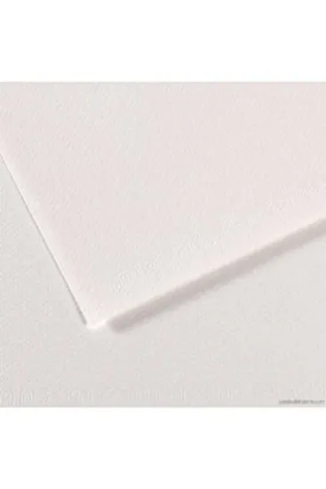 Canson Fon Kartonu (Dokulu) Mı-Teıntes 50x65 160 GR Whıt 335 (10 Adet) resmi