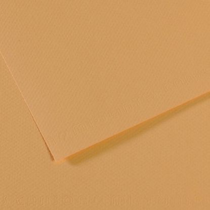 Canson Fon Kartonu (Dokulu) Mı-Teıntes 50x65 160 GR Kahverenk 340 (10 Adet) resmi