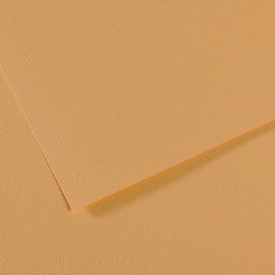 Canson Fon Kartonu (Dokulu) Mı-Teıntes 50x65 160 GR Kahverenk 340 (10 Adet) resmi