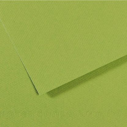 Canson Fon Kartonu (Dokulu) Mı-Teıntes Sh Canmt 50x65 160 GR Grn 475 (10 Adet) resmi