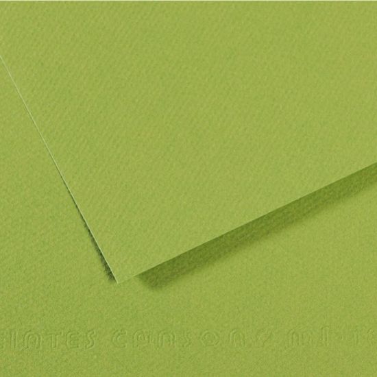 Canson Fon Kartonu (Dokulu) Mı-Teıntes Sh Canmt 50x65 160 GR Grn 475 (10 Adet) resmi