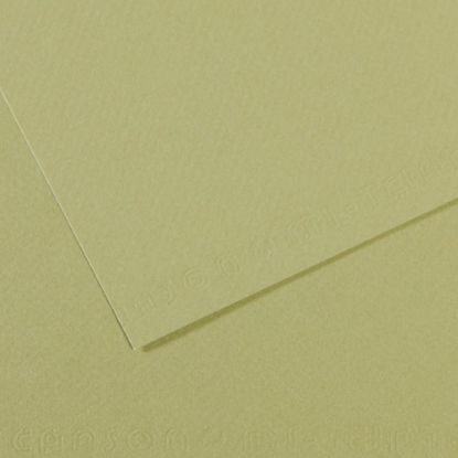 Canson Fon Kartonu (Dokulu) Mı-Teıntes Sh Canmt 50x65 160 GR Grn 480 (10 Adet) resmi