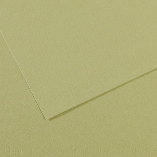 Canson Fon Kartonu (Dokulu) Mı-Teıntes Sh Canmt 50x65 160 GR Grn 480 (10 Adet) resmi